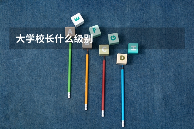 大学校长什么级别