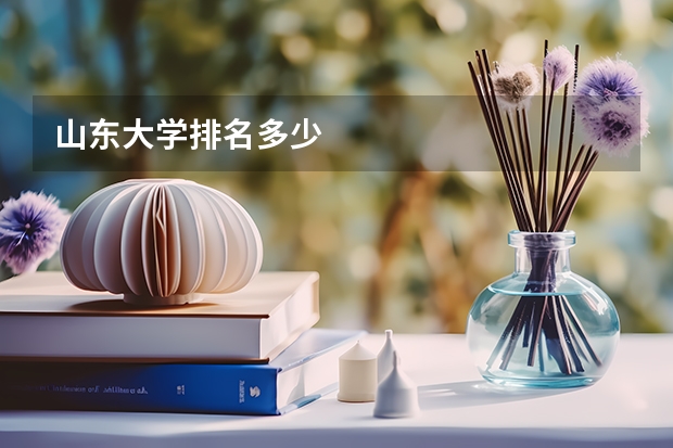 山东大学排名多少