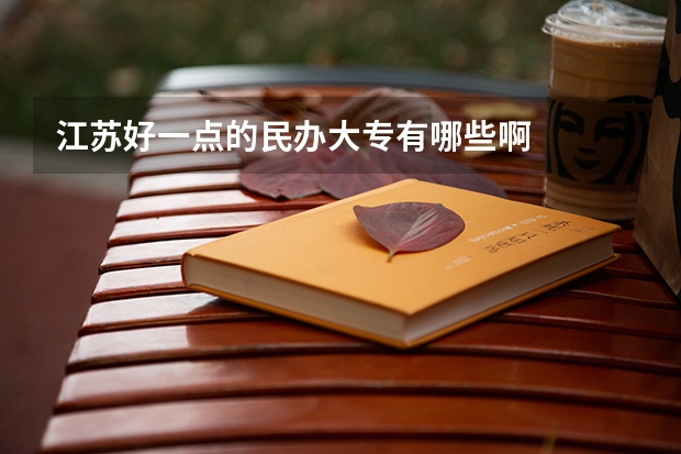 江苏好一点的民办大专有哪些啊