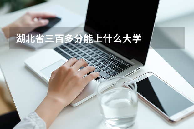 湖北省三百多分能上什么大学