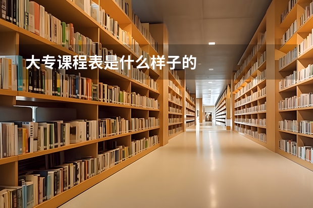 大专课程表是什么样子的