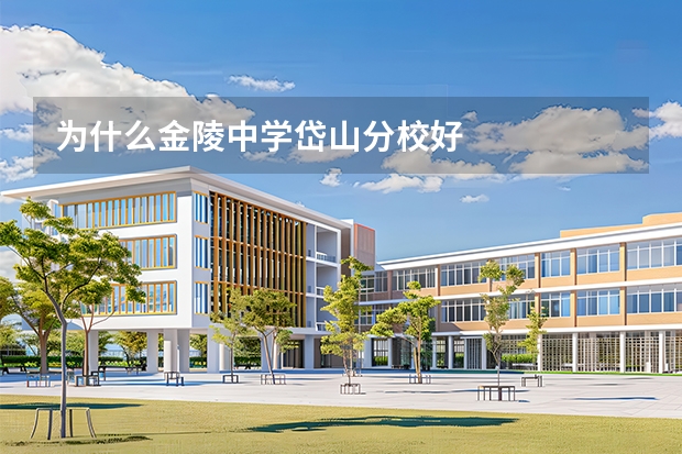 为什么金陵中学岱山分校好