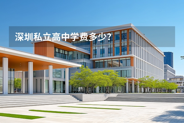 深圳私立高中学费多少？