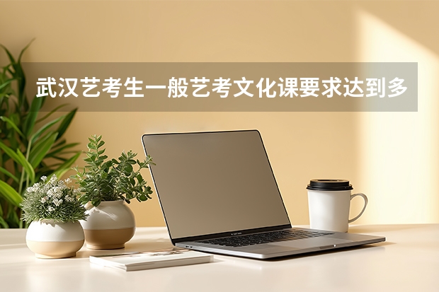 武汉艺考生一般艺考文化课要求达到多少分