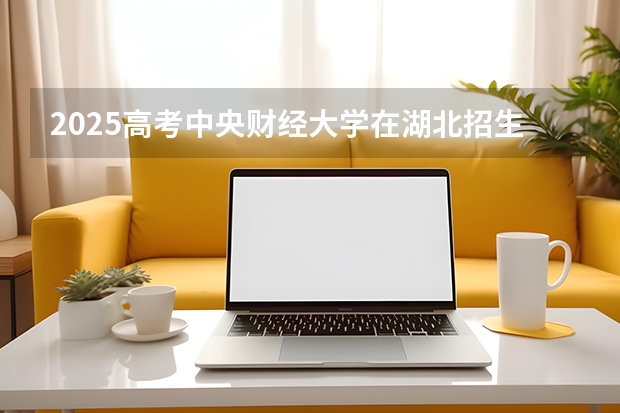 2025高考中央财经大学在湖北招生专业有哪些 学费多少（2026参考）