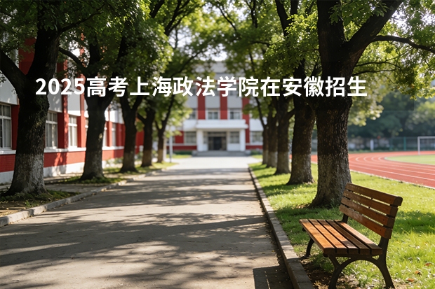 2025高考上海政法学院在安徽招生专业有哪些 学费多少？（2026参考）