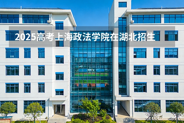 2025高考上海政法学院在湖北招生专业有哪些 学费多少（2026参考）