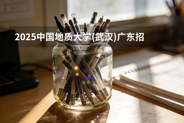 2025中国地质大学(武汉)广东招生批次设置及招生专业目录