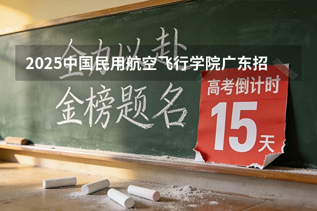 2025中国民用航空飞行学院广东招生批次设置及招生专业目录