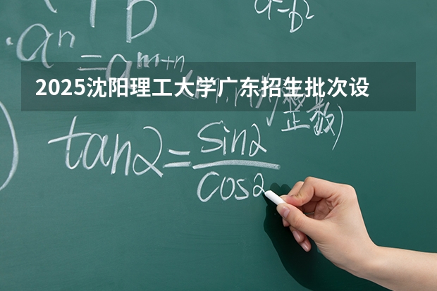 2025沈阳理工大学广东招生批次设置及招生专业目录