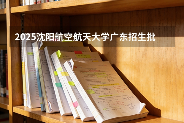 2025沈阳航空航天大学广东招生批次设置及招生专业目录