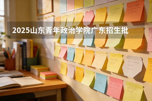 2025山东青年政治学院广东招生批次设置及招生专业目录