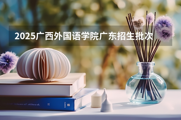 2025广西外国语学院广东招生批次设置及招生专业目录