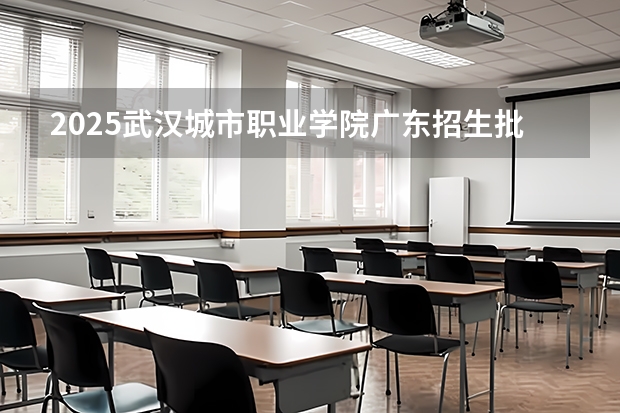 2025武汉城市职业学院广东招生批次设置及招生专业目录