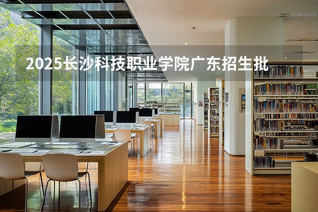 2025长沙科技职业学院广东招生批次设置及招生专业目录