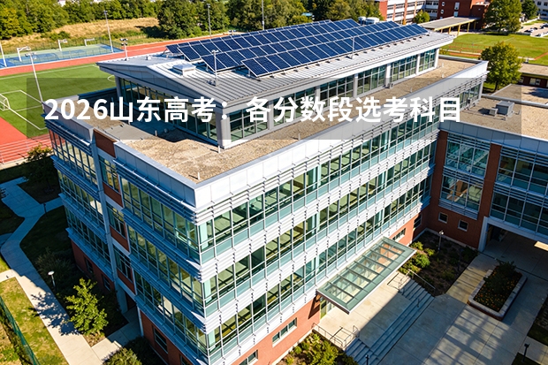 2026山东高考：各分数段选考科目倾向对比分析