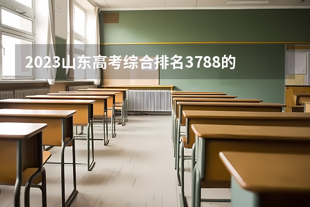 2023山东高考综合排名3788的考生报什么大学 往年录取分数线一览