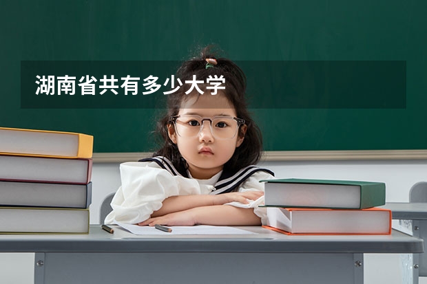 湖南省共有多少大学