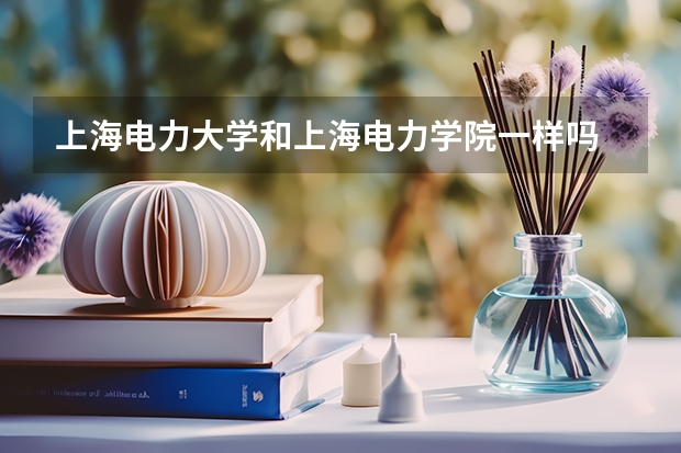 上海电力大学和上海电力学院一样吗