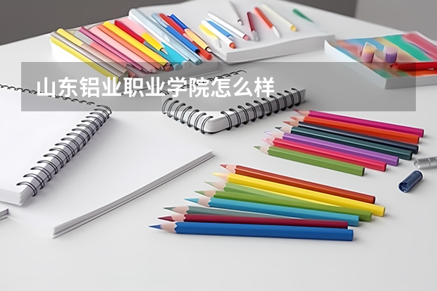 山东铝业职业学院怎么样