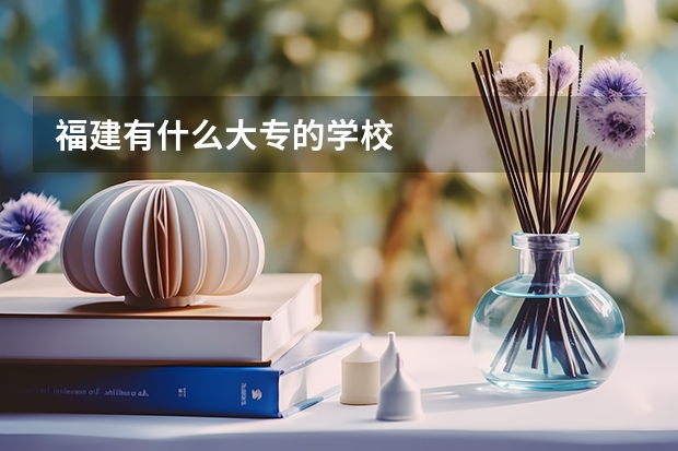 福建有什么大专的学校