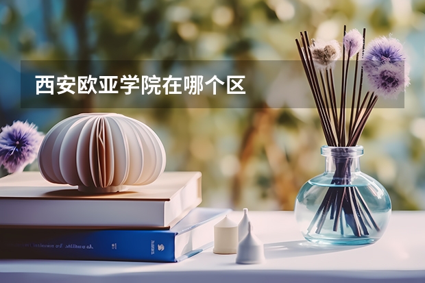 西安欧亚学院在哪个区