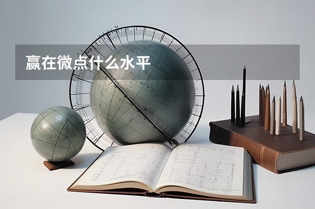 赢在微点什么水平