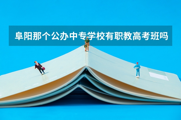 阜阳那个公办中专学校有职教高考班吗