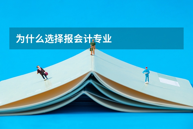 为什么选择报会计专业