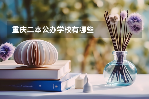 重庆二本公办学校有哪些