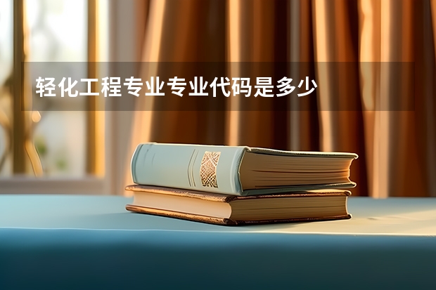 轻化工程专业专业代码是多少