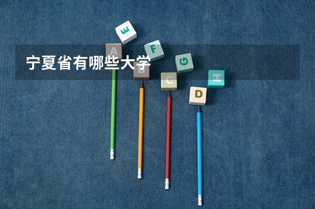 宁夏省有哪些大学