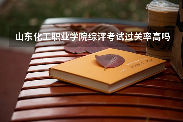 山东化工职业学院综评考试过关率高吗