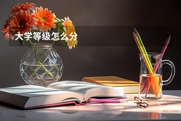 大学等级怎么分